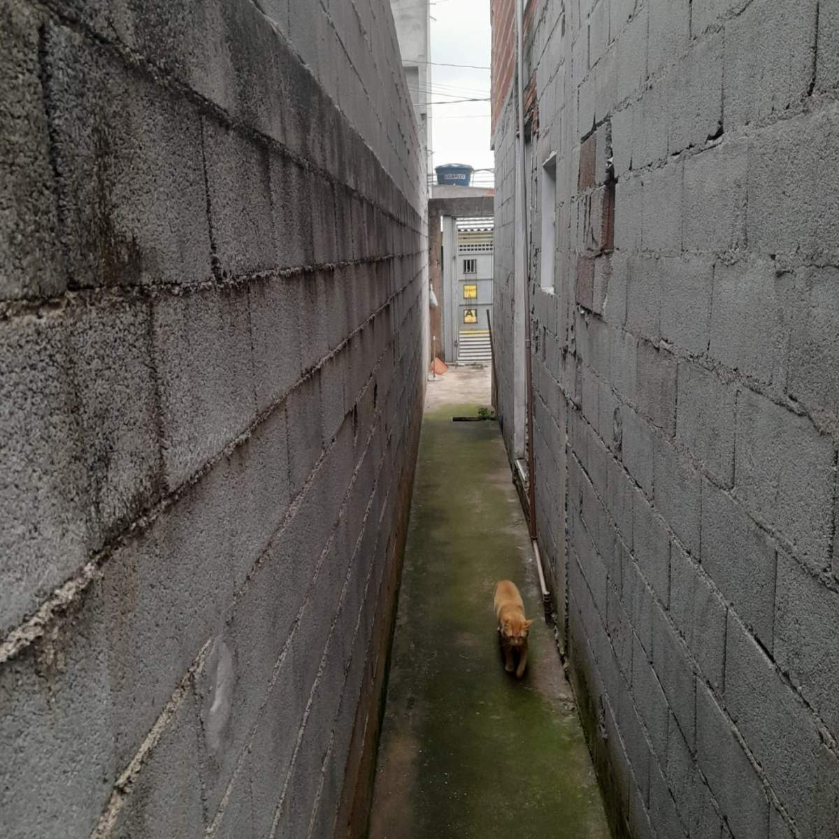 Casa, 2 quartos - Foto 22