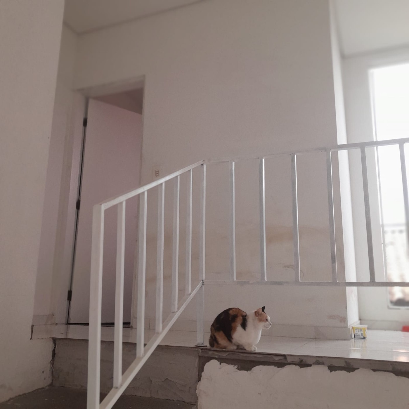 Casa, 2 quartos - Foto 10