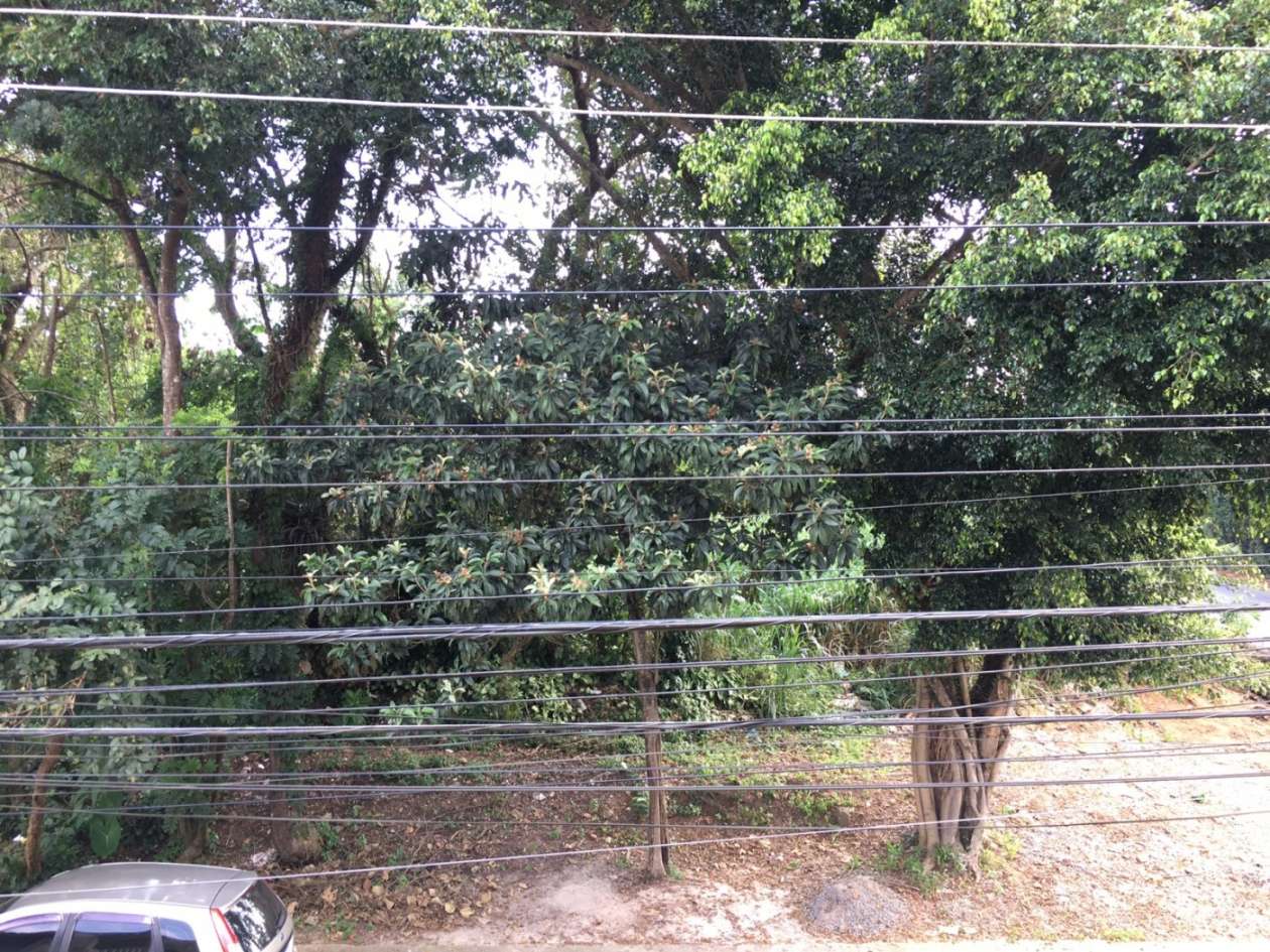 Casa, 2 quartos - Foto 41