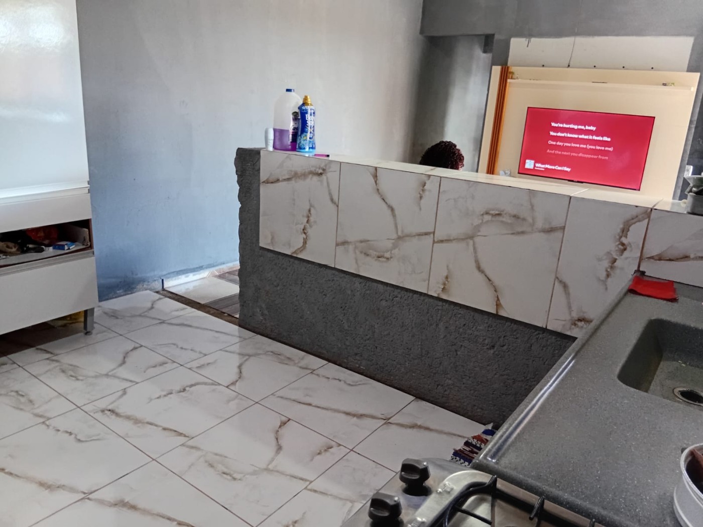 Apartamento, 2 quartos - Foto 13